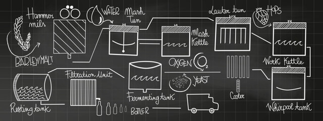 Chalk drawing of the brewing beer process, craft beer production process, vector illustration on chalkboard