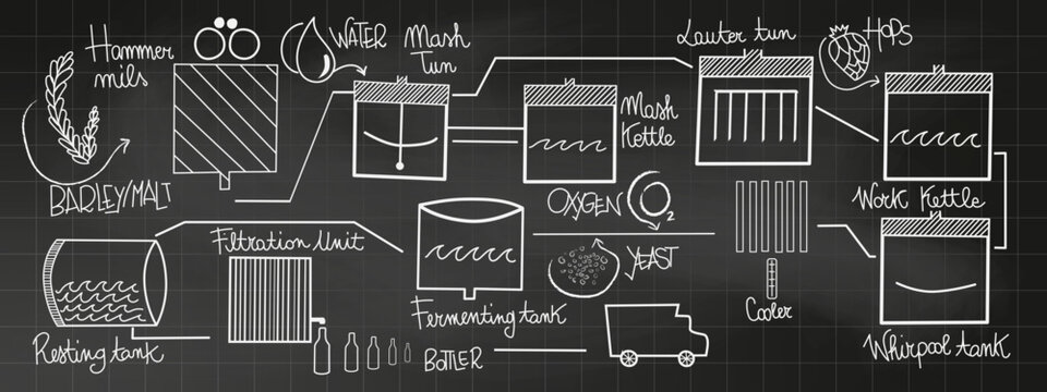 Chalk drawing of the brewing beer process, craft beer production process, vector illustration on chalkboard