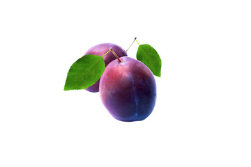 Fresh organic two plums with leaves isolated on white background.