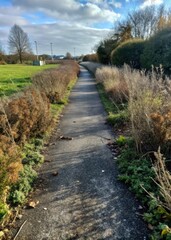 Quiet country path lined with bare trees and hedgerows.