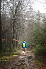 Obraz premium A hiker walks along a misty forest trail in Fichtelgebirge, Germany, with bare trees and wet ground.