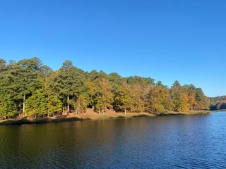 Fototapeta premium lake and forest