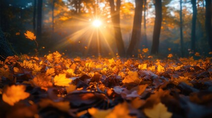 Falling Leaves in a Tranquil Autumn Forest at Golden Hour