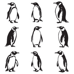 Obraz premium Penguin Silhouette Vector Art Illustration, Animal Isolated On White Background, Penguin Silhouette