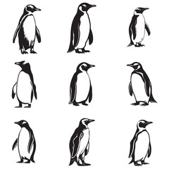 Obraz premium Penguin Silhouette Vector Art Illustration, Animal Isolated On White Background, Penguin Silhouette