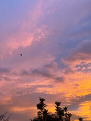 Sunset in Vegas with birds and plane