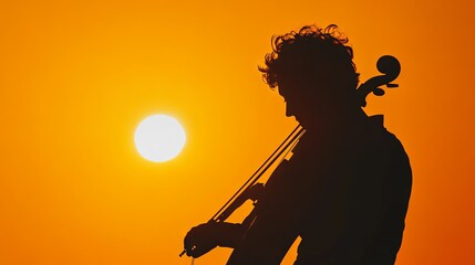Fototapeta premium Silhouette of a musician with a musical instrument