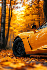 car wallpaper for mobile phone screen, background with yellow leaves and trees