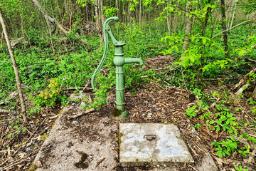 Old hand pump in forest clearing surrounded by green plants and wildflowers.