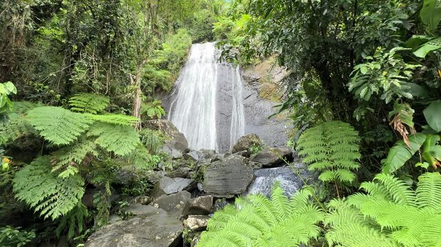Tropical jungle waterfall in El Yunque National Forest Puerto Rico, La Loca Falls, Cascada La Loca, soothing sounds