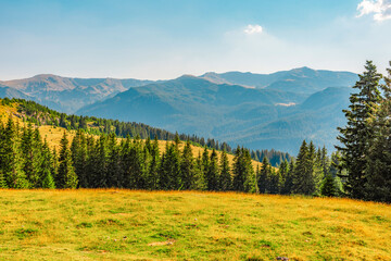 Romania Transalpina road with many serpentines crossing forest in  Carpathian mountains. Mountains forest trees with road in Parang mountains