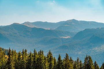 Naklejka premium Romania Transalpina road with many serpentines crossing forest in Carpathian mountains. Mountains forest trees with road in Parang mountains