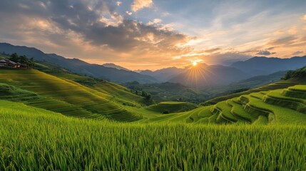 Obraz premium Breathtaking sunset over terraced rice fields in the mountains during golden hour