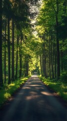 Obraz premium Bright forest road inviting travelers through green landscape image