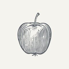 Apple. Vintage woodcut engraving style vector illustration.