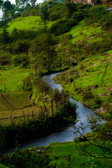 river in the woods
