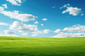 Fototapeta premium Serene Green Field Under a Blue Sky with White Clouds