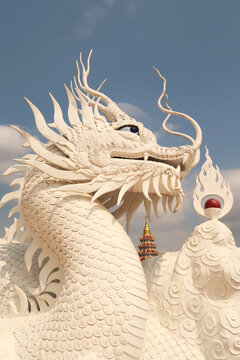 The head of a big white thai dragon, phaya naga statue, sculpture in front of the Phop Chok Dhamma Chedi, part of the Wat Huay Pla Kang Temple Complex, Chiang Rai, Thailand