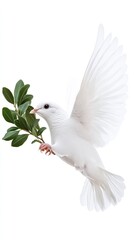 Fototapeta premium A white dove soars through the air, clutching a green leaf in its beak, symbolizing hope and tranquility amid a serene backdrop