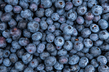 Close Up of Freshly Picked Blueberries Showcasing Natures Sweetness and Quality.
