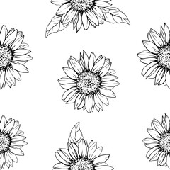 Seamless Pattern with Flowers Sunflowers in line art style. Vector Autumn ornament with chamomile painted by black inks. Hand Drawn engraving Bouquet of daisies for wallpaper. Sketch outline