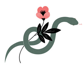 Snake wraps around flower. Beautiful png hand drawn graphic illustration on a transparent background