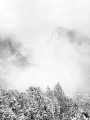 Zion National Park north entrance in December winter season. Snow drifted away from north. Fog and light snow in the air, covering the mountain and tree tops. 