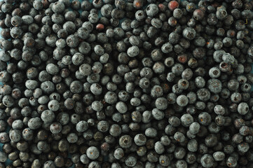 fresh washed blueberries