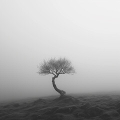 emotions - loneliness