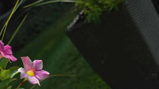 Speed ramping clip with dramatic motion.