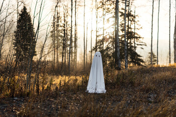 Child dressed in ghost costume for Halloween in spooky backlit forest