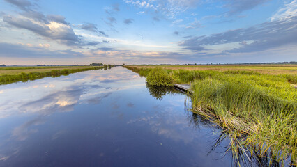 Dutch Agricultural Polder Landscape