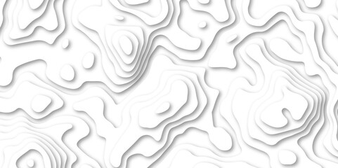 Abstract White paper cut background with lines.3d realistic papercut decoration textured with wavy wallpaper luxury wallpaper texture and 3d realistic design use for banner flyers, posters.