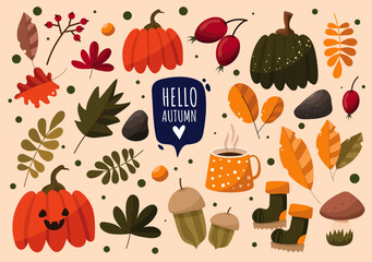 Illustrations set of  Leaves and Autumn Elements for Pattern design