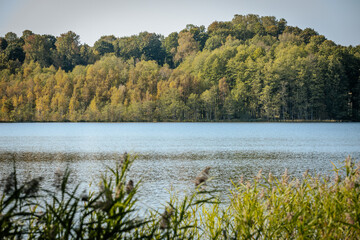 A serene view of Augstroze Lake, with calm blue waters in the foreground and a tree-lined shore in the distance. The trees exhibit early autumn colors, under a clear sky.