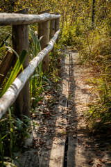 Fototapeta premium A close-up view of a rustic wooden fence lining a narrow forest path surrounded by lush greenery and tall grass. Sunlight filters through the trees, illuminating the scene.