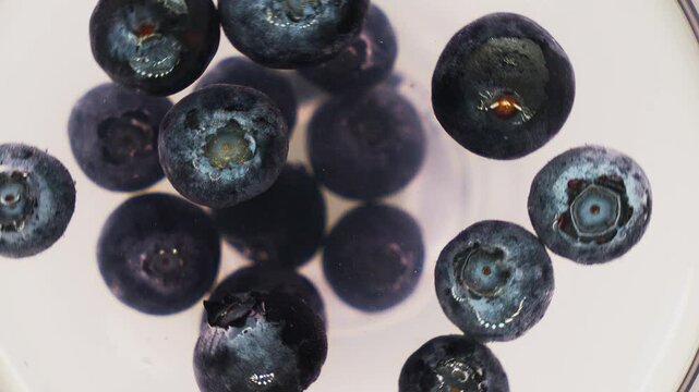 A close-up top-down view captures fresh blueberries floating in a clear liquid. The vibrant blue and purple hues of the blueberries contrast against the clear liquid, highlighting their natural