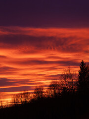 Fototapeta premium Stunning sunrise with a sky filled with vibrant orange hues and dramatic cloud formations. Silhouetted trees create a striking contrast against the colorful and picturesque autumn morning scenery.
