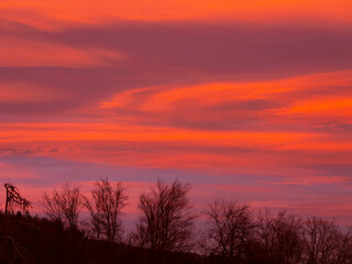 Fototapeta premium Sky is ablaze with warm hues of pink and orange during a stunning sunset, with bare autumn trees silhouetted against vibrantly coloured clouds. Pristine beauty of nature as day transitions into night.