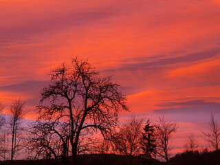 A dramatic sunset paints the sky with deep shades of orange and pink, while trees stand silhouetted against the colorful clouds. Striking contrast between the vibrant sky and the darkened landscape.