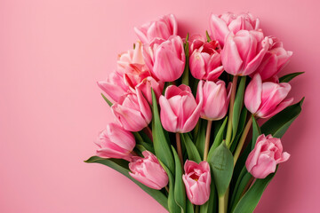 Fototapeta premium Tulips on a pink background. Generative AI