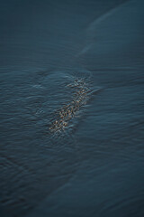 beach water ocean texture pretty liquid 