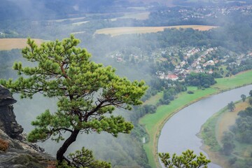After the rain lone tree braving the elements on a rocky cliff overlooking a misty landscape of a...