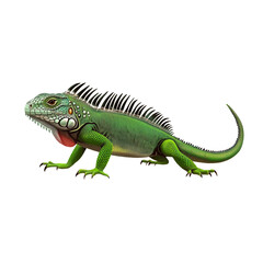 Fototapeta premium Iguana with green scaly skin standing isolated on transparent background