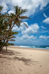 Scenic view of Banzai Beach on the island of Oahu, Hawaii, USA against blue sky with clouds