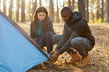 Young mixed race couple making tent together, having conversation, camping in forest