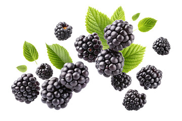 blackberry isolated on transparent background png