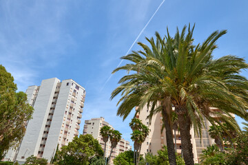 Spectacular Spanish Skyline: Towering High-Rises and Swaying Palm Trees Under the Bright Summer Sky. Vibrant Urban Oasis: High-Rise Buildings and Tropical Palms Against the Azure Summer Sky in Spain