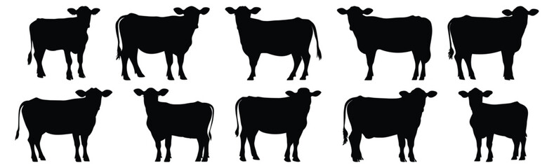 Cow silhouettes set, animal pack of vector silhouette design, isolated background.