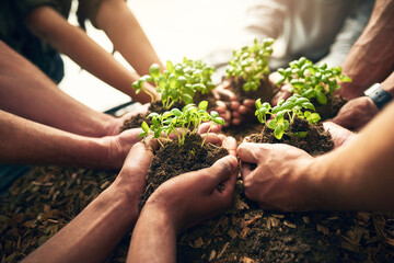 Hands, people and holding plants in soil for earth day, environment growth and teamwork of ngo business. Palm, circle charity and collaboration for leaf agriculture, helping and investing opportunity